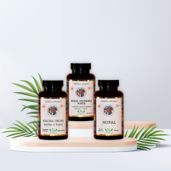 KRVNÝ OBĚH - SRDCE