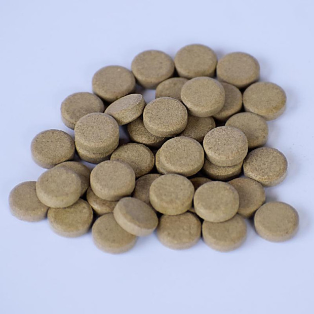 Anona Graviola ESSENCE