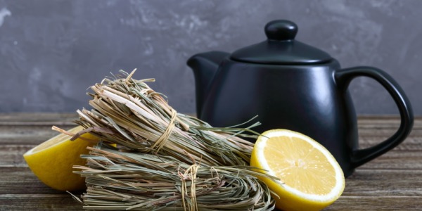 HIERBA LUISA – BYLINA, KTORÚ MOŽNO NEPOZNÁTE